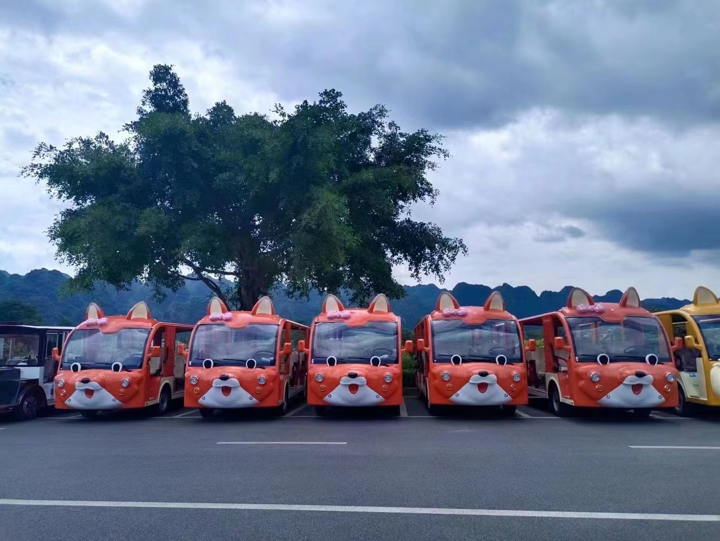 電動(dòng)觀(guān)光車(chē)在旅游產(chǎn)業(yè)中扮演著怎樣的角色？